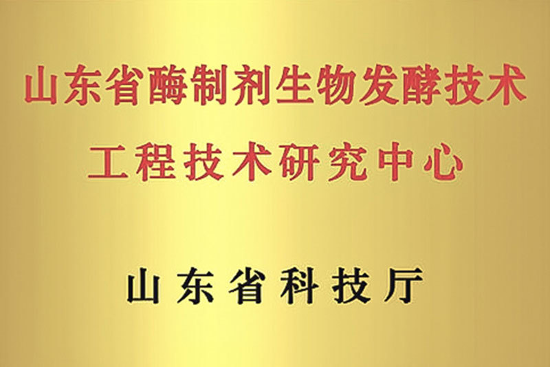 山东省酶制剂生物发酵技术工程技术研究中心