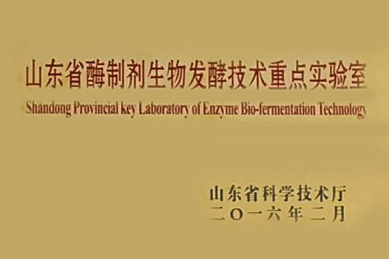 山东省酶制剂生物发酵技术重点实验室